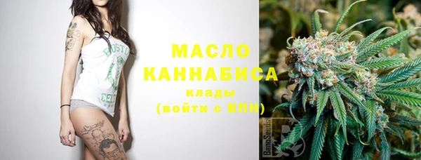 дурь Инта