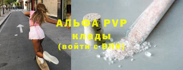 дурь Инта