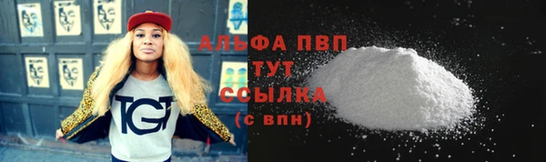 дурь Инта