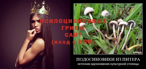 mix Иннополис