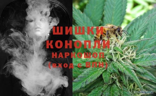 дурь Инта