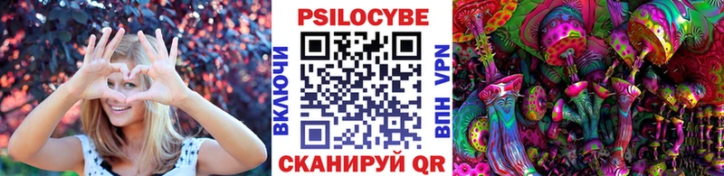 darknet Telegram  Новый Уренгой  Псилоцибиновые грибы Cubensis 